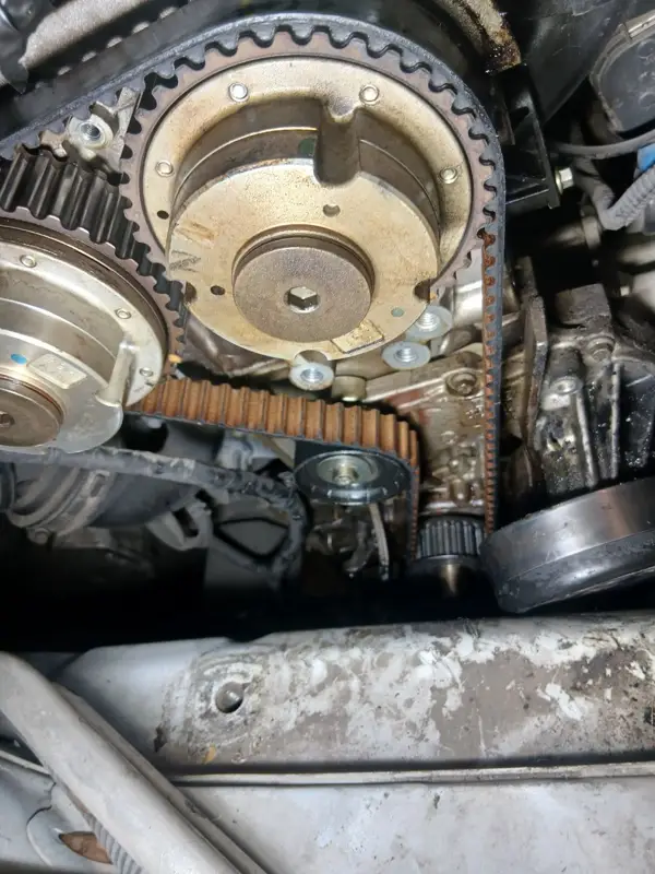 Banda de tiempo bañada en aceite
